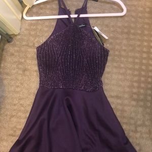 David’s Brindle purple fancy dress